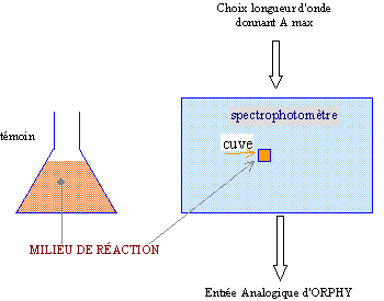 clp0.gif (3298 octets)